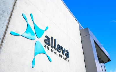 Alleva R&D Team Returns to Australia